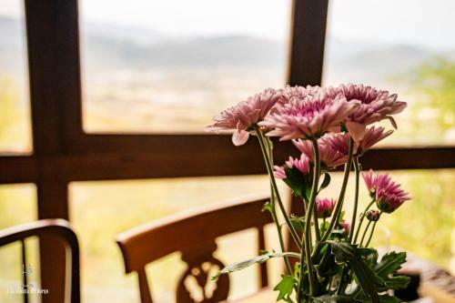 Bed & Breakfast L'alchimista Del Borgo