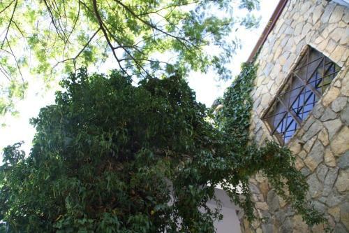 Hostal Villa Belvedere