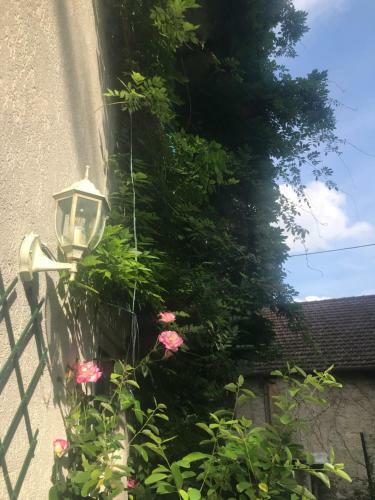 Hostal Ventiquattro Ore Vacanze