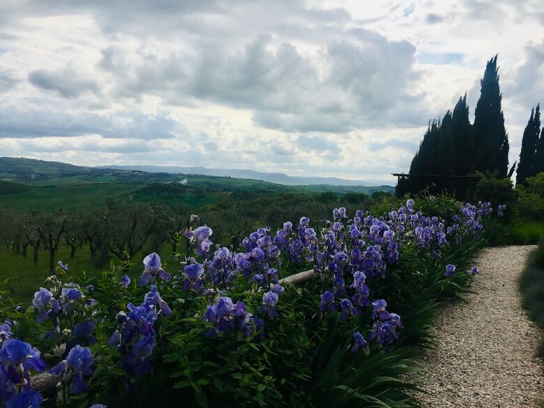 Hotel A440 In Tuscany