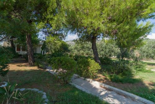 Apartamento Villa Rosa