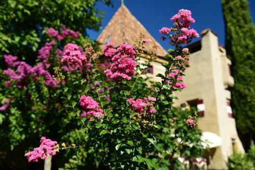 Hotel Ansitz Punthof
