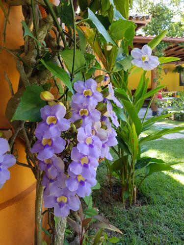 Hostal Estalagem D'ajuda