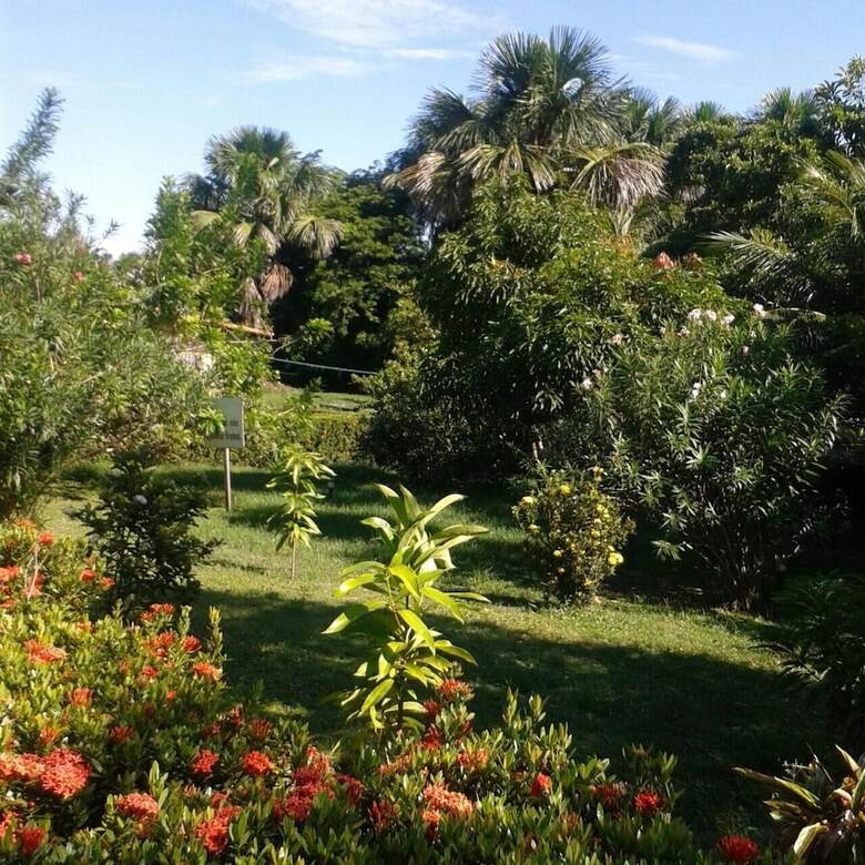 Hostal Pousada Murici
