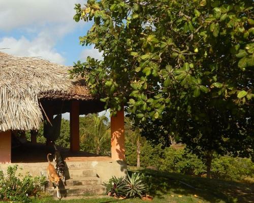 Hostal Para�so Do Caju House Hostel