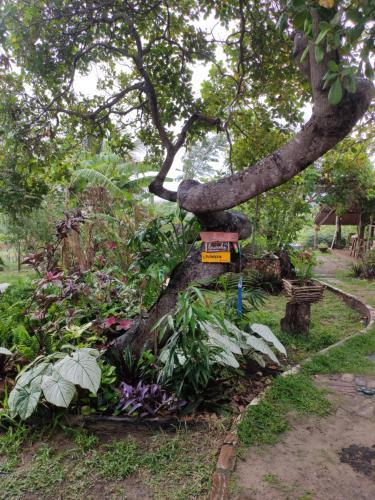 Hostal Para�so Do Caju House Hostel