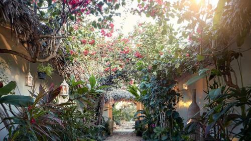 The Chili Beach Boutique Hotel