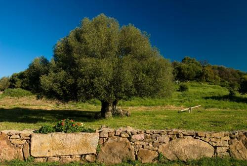 Agroturismo Genna E Corte