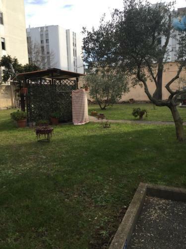 B&B Albero Cisanello
