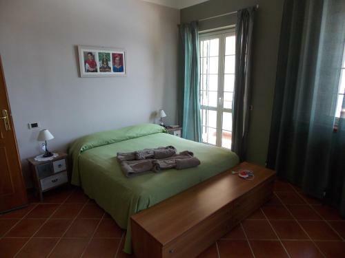 B&B Pacilita