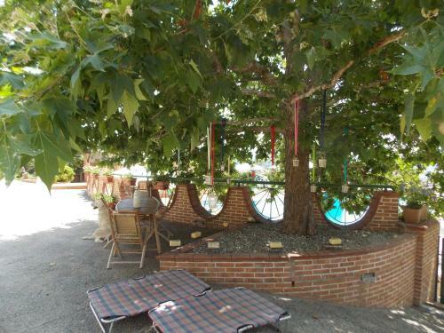 B&B Pacilita