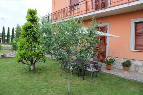 La Magnolia Fiorita