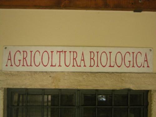 Bed & Breakfast Palazzetto Ardi