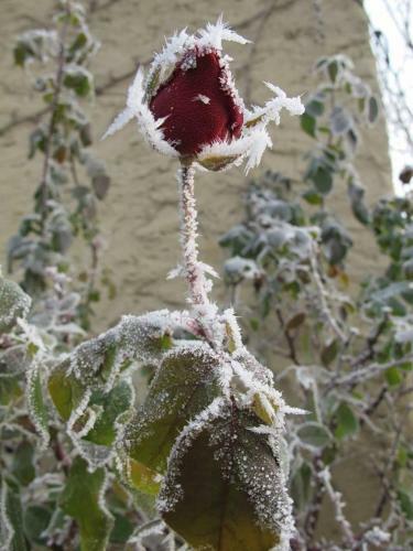 Bed & Breakfast Palazzetto Ardi