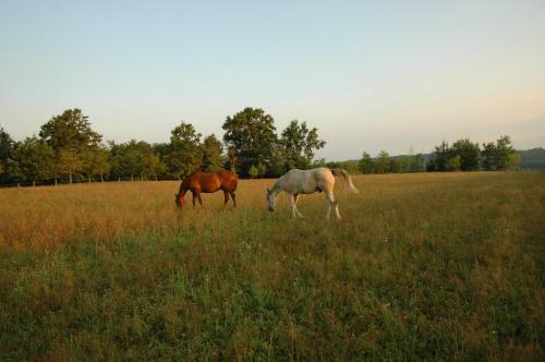 San Matteo B&B