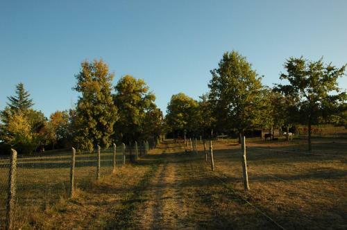 San Matteo B&B