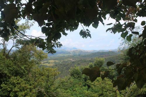 Villino In Montagna