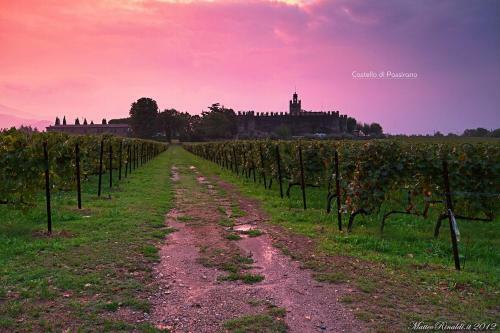 Apartamento Wine & Lake In Franciacorta