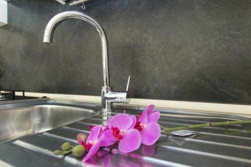Apartamento Wine & Lake In Franciacorta