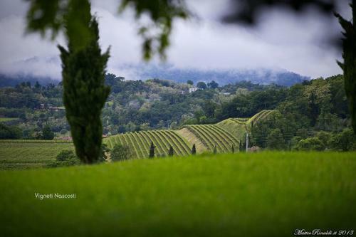 Apartamento Wine & Lake In Franciacorta