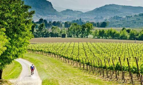 Apartamento Wine & Lake In Franciacorta