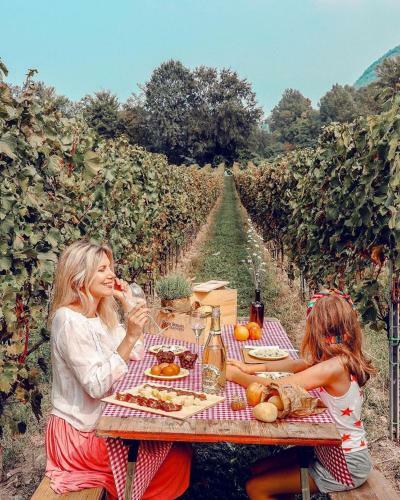 Apartamento Wine & Lake In Franciacorta
