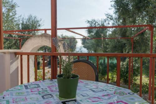 Hotel Residence Lido Dei Pini