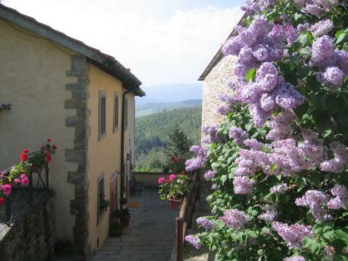Agroturismo Borgo Tramonte