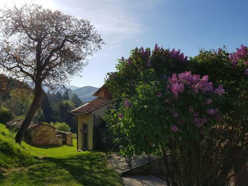 Agroturismo Borgo Tramonte