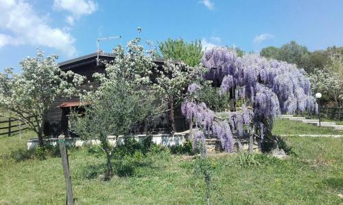 Agroturismo Natura E Cavallo