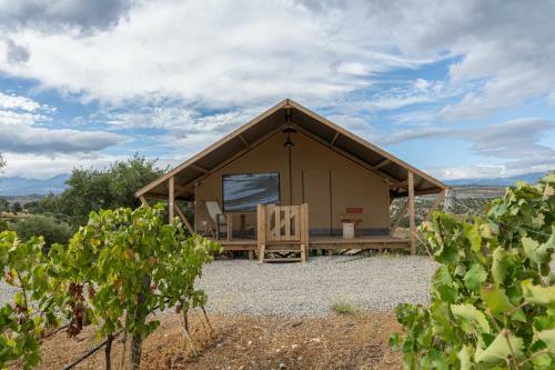 Agroturismo Castello Di Serragiumenta