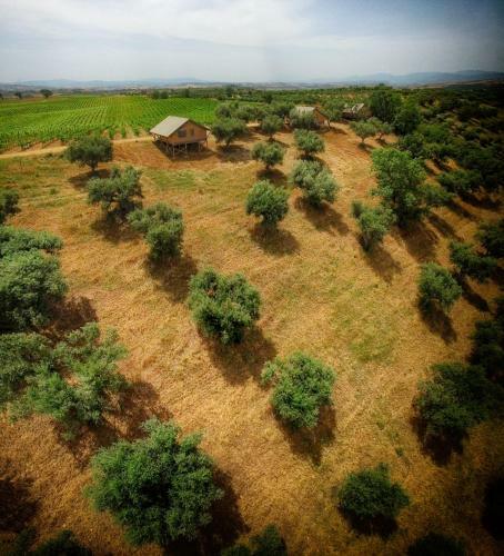 Agroturismo Castello Di Serragiumenta