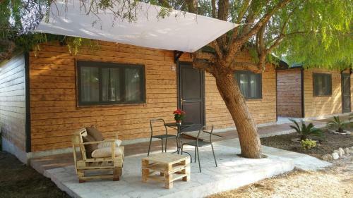 Agroturismo La Vignazza B&B
