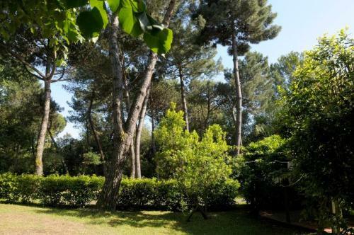 Marina Dei Ronchi Villa Sleeps 14 Pool Air Con Wifi