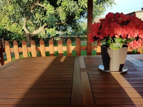 Apartamento Agriturismo Macchia Di Riso