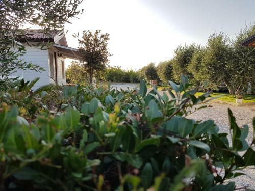 Apartamento Agriturismo Macchia Di Riso