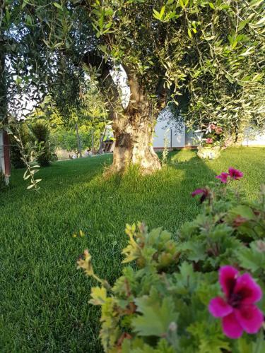 Apartamento Agriturismo Macchia Di Riso