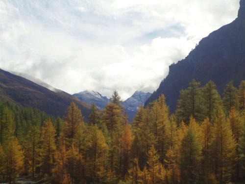Bed & Breakfast Rifugio Mulino Di Laval