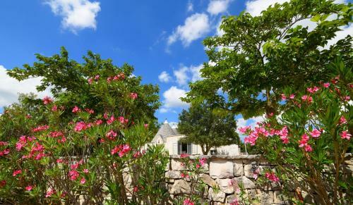 Trulli Alleria
