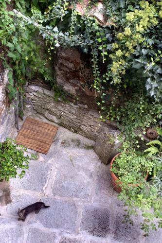 Bed & Breakfast Palazzo Gallotti
