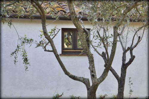 Civetta-wohnung-kleines-nest
