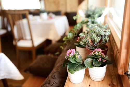 Chalet Rasteck