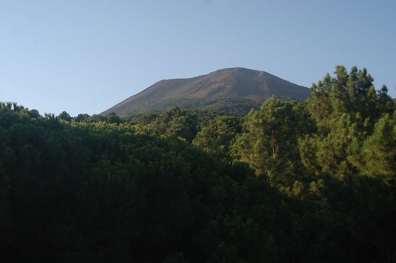 Hotel Parco Vesevus