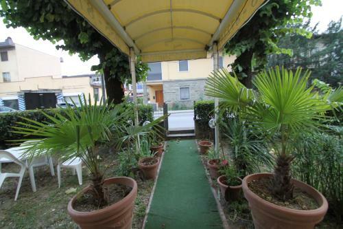 Scuole Bed And Car
