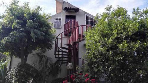 Lucrezia Loft Garden Catania