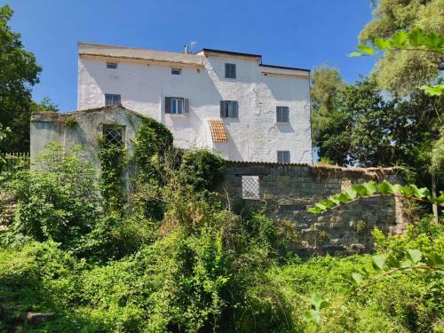 Bed & Breakfast Ponteronico Resort