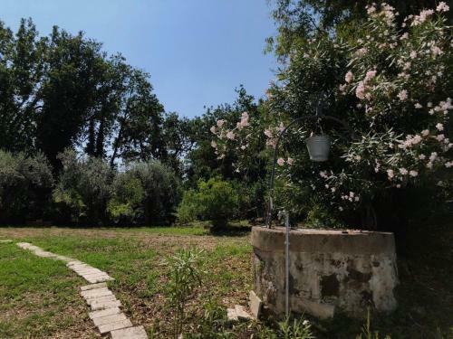 Bed & Breakfast Ponteronico Resort