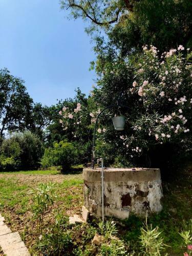 Bed & Breakfast Ponteronico Resort