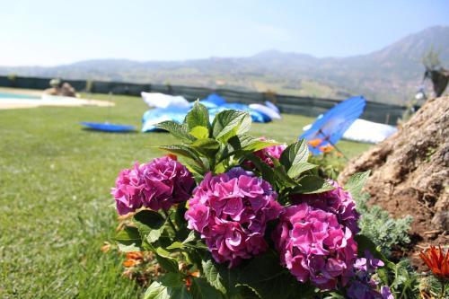 Agroturismo Agriturismo Pietreionne