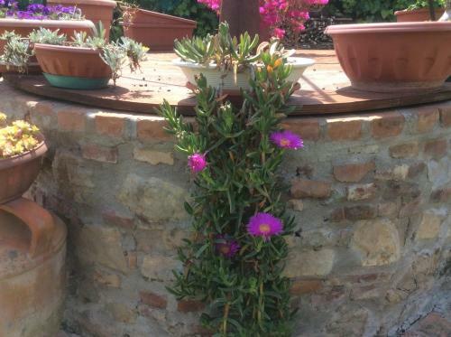 Agroturismo Podere Girasoli
